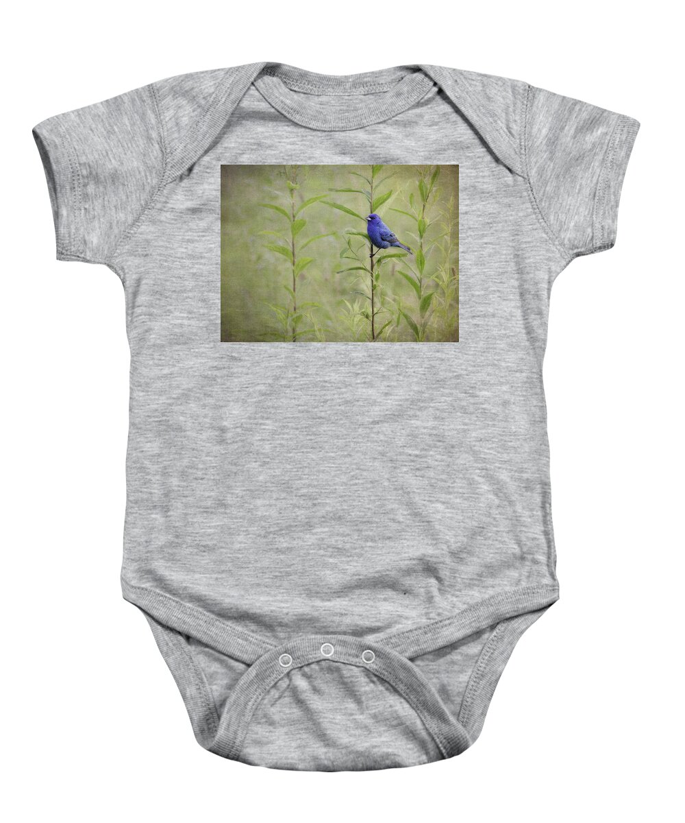 Indigo Bunting Baby Onesie featuring the photograph Charming Curiosity by Dale Kincaid