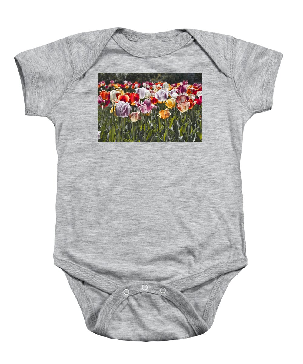 Tulip Baby Onesie featuring the photograph Colorful Tulips in the Sun by Sharon Popek