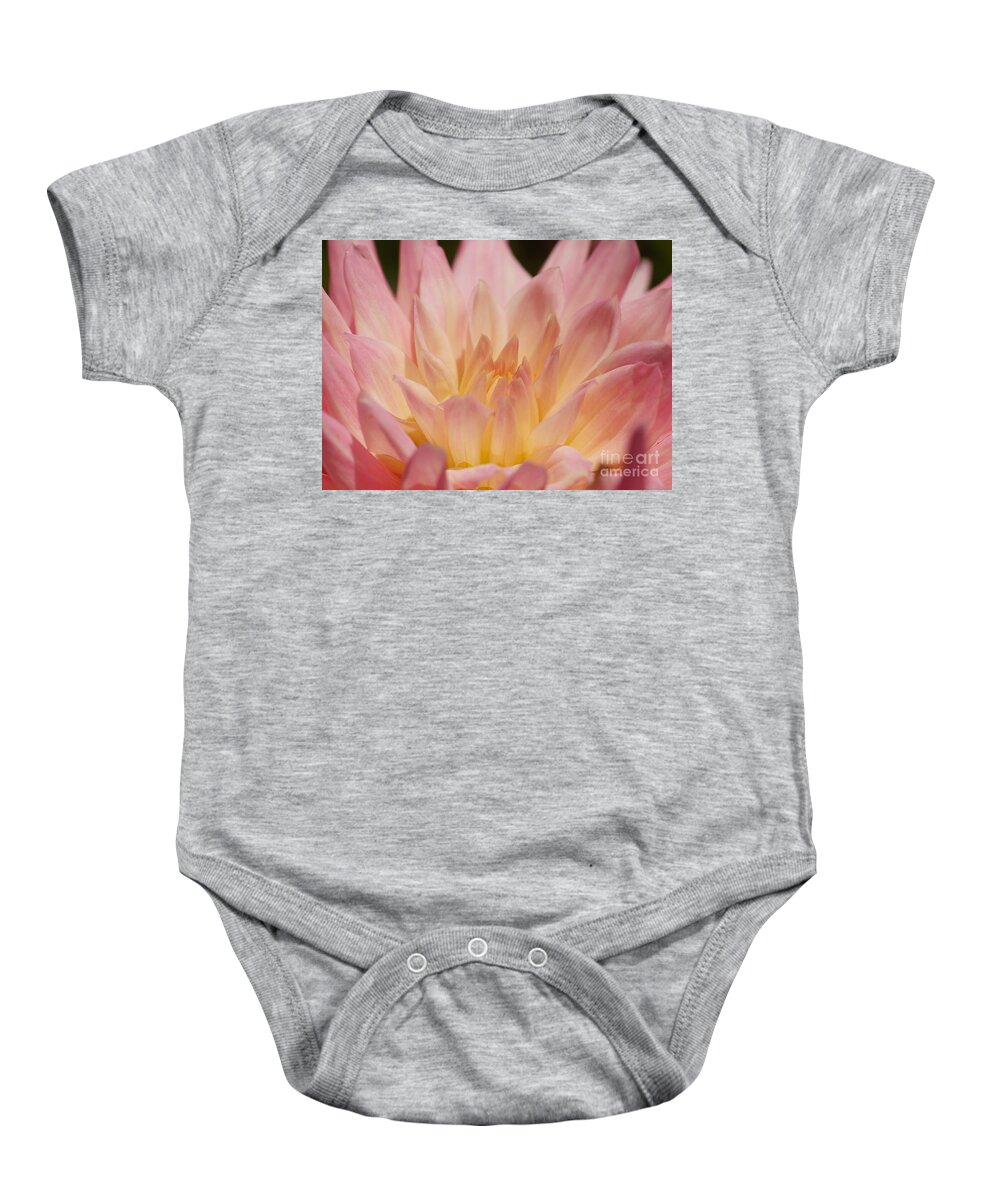 Nature Baby Onesie featuring the photograph Dahlia 10 by Rudi Prott