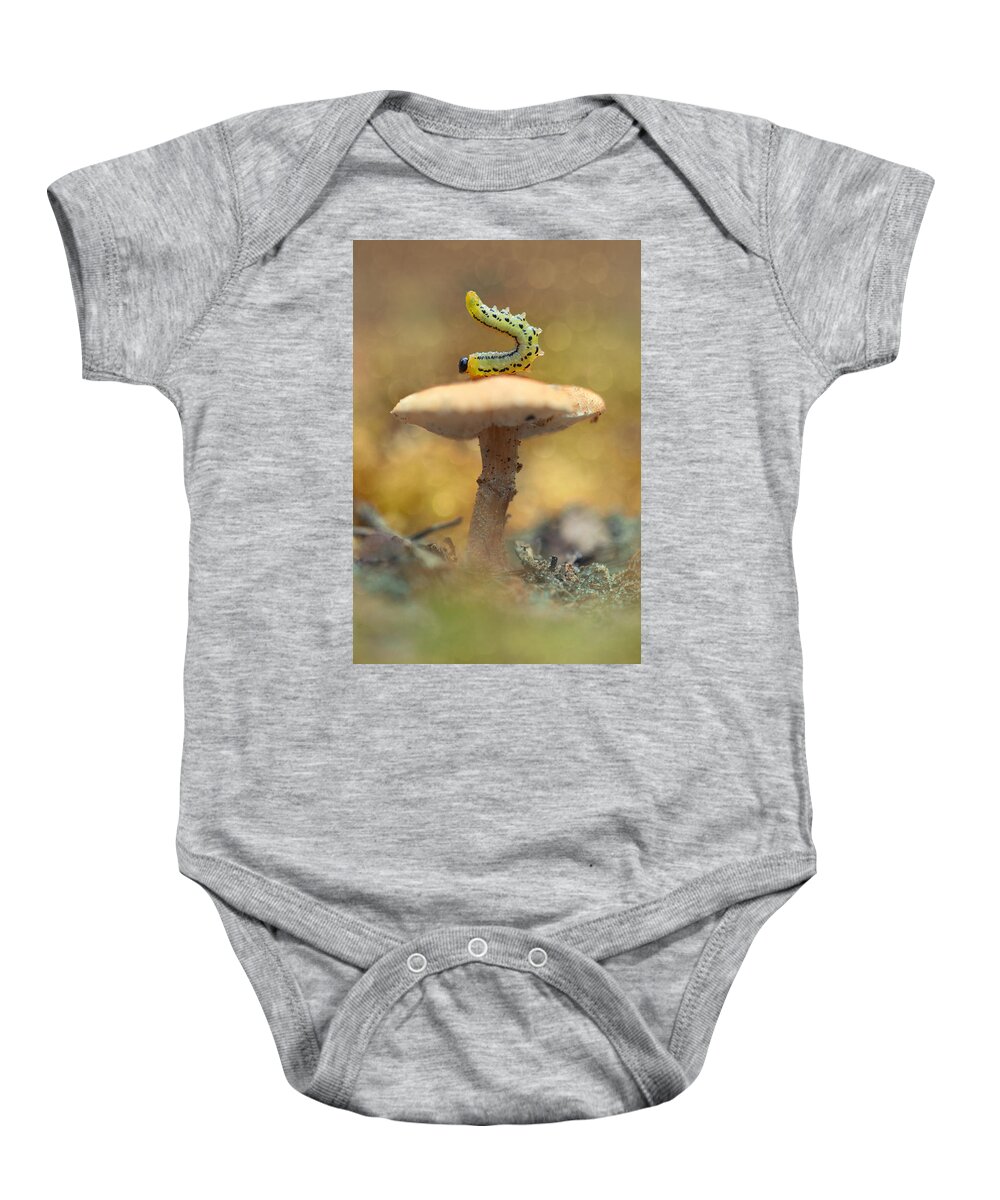 Caterpillar Baby Onesie featuring the photograph Daily excercice by Jaroslaw Blaminsky