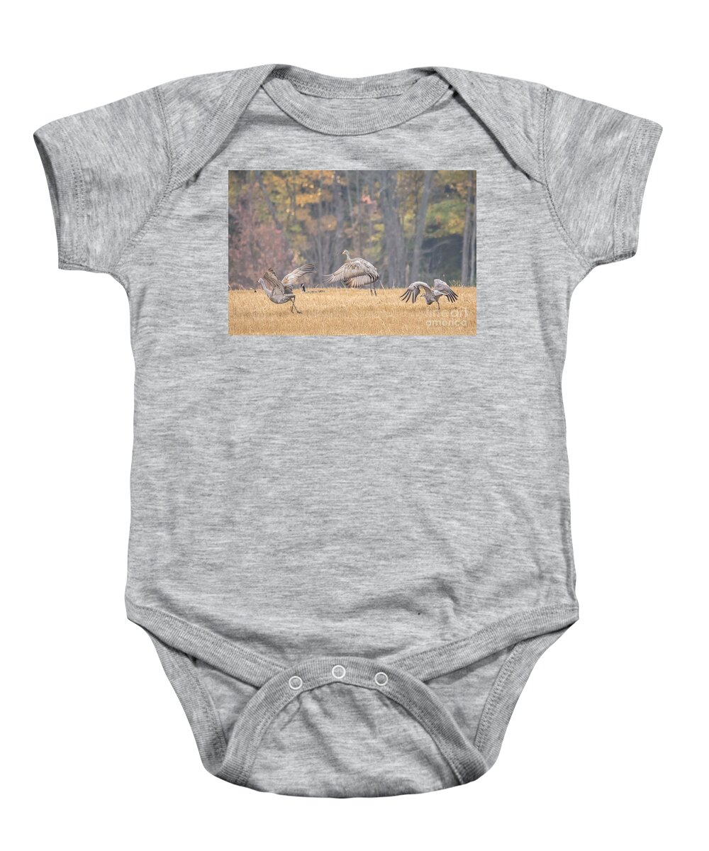 Landscape Baby Onesie featuring the photograph Dancing Sandhill Cranes by Cheryl Baxter