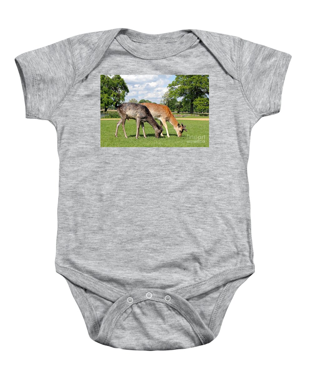 Deer Fallow Grazing 2 British English Landscape Wildlife Animals Animal Baby Onesie featuring the photograph Two Deer by Julia Gavin