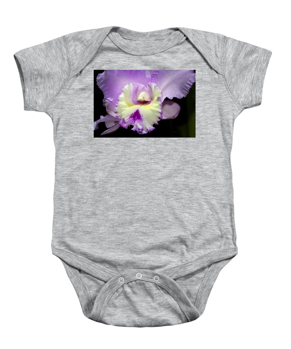 Orchid Baby Onesie featuring the photograph Delicate Violet Orchid by Phyllis Denton