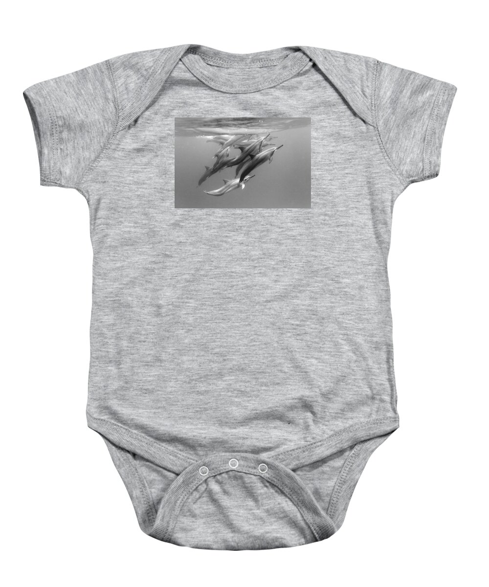 #faatoppicks Baby Onesie featuring the photograph Dolphin Pod by Sean Davey