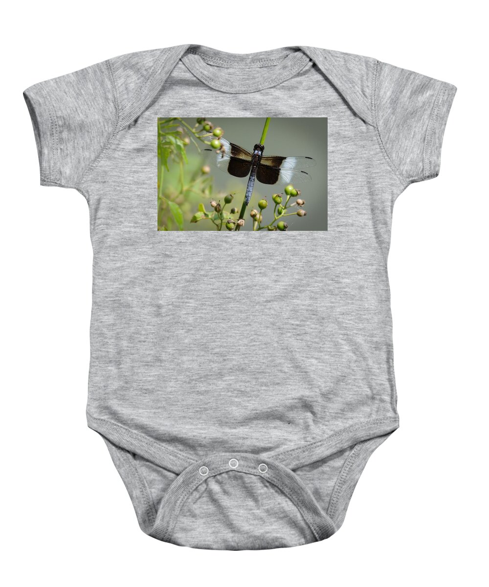 Dragonfly Baby Onesie featuring the photograph Dragonfly by David Hart