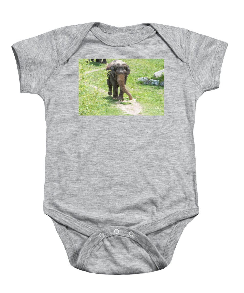 Animals Baby Onesie featuring the digital art Elephant by Carol Ailles