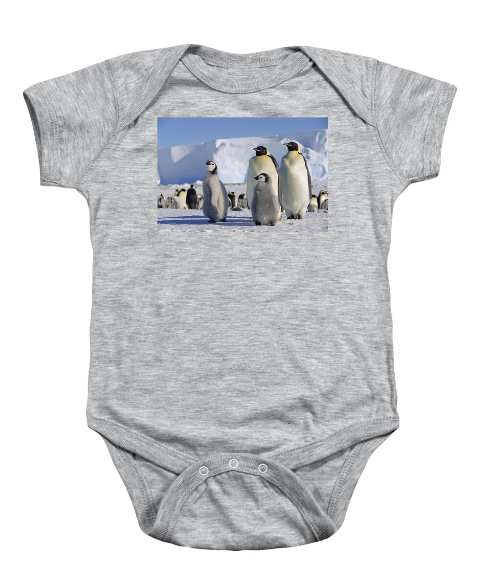 Feb0514 Baby Onesie featuring the photograph Emperor Penguins And Chick Antarctica by Konrad Wothe