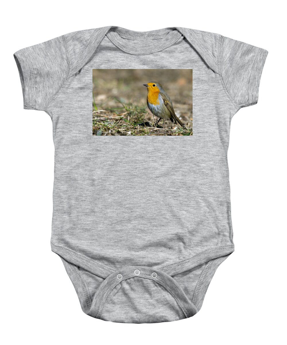 European Robin Baby Onesie featuring the photograph European Robin by Torbjorn Swenelius