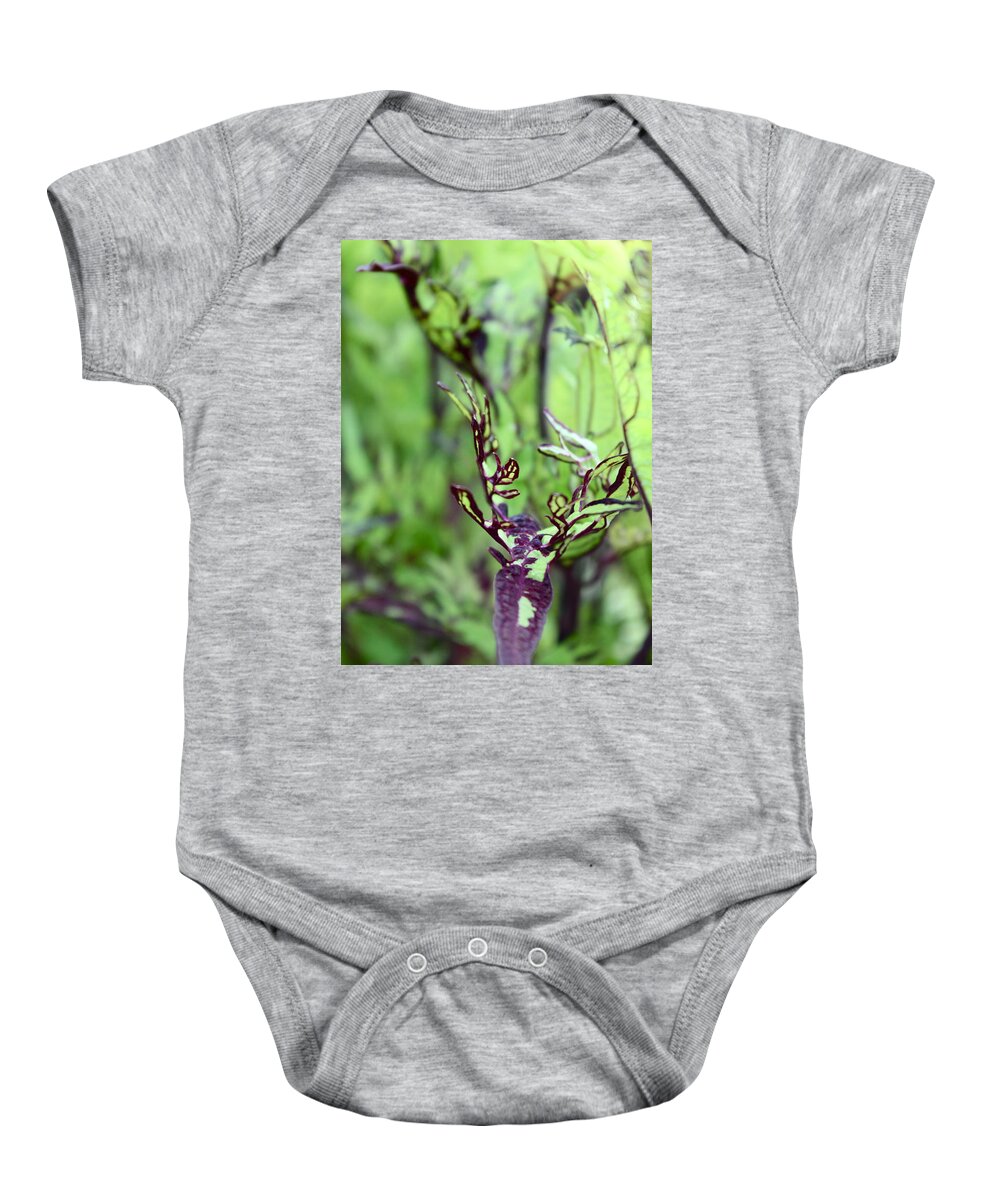 Exotic Plant Baby Onesie featuring the photograph Exotic Plant by Kume Bryant