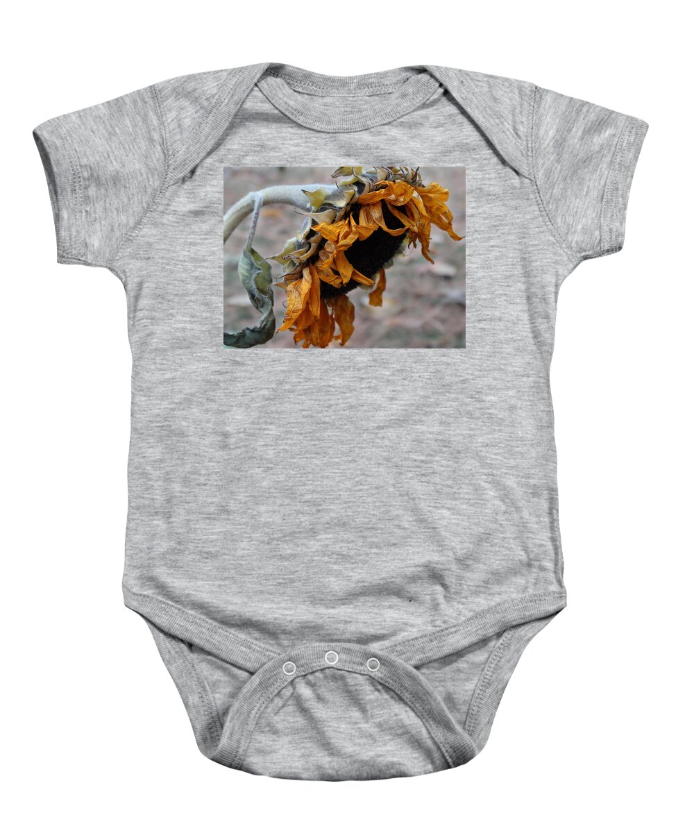 Sunflower Baby Onesie featuring the photograph Fading Sunflower by David T Wilkinson