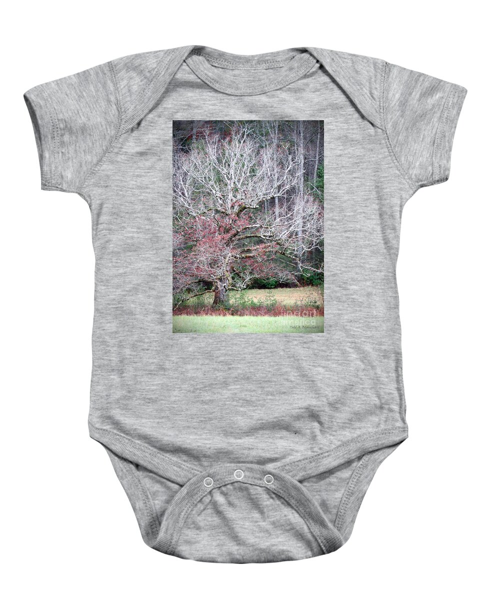 Landscape Baby Onesie featuring the photograph Fall At Cades Cove by Todd Blanchard