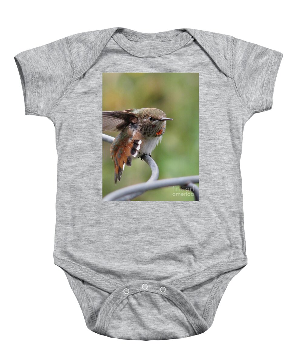 Hummingbirds Baby Onesie featuring the photograph Fearless Friends by Rory Siegel
