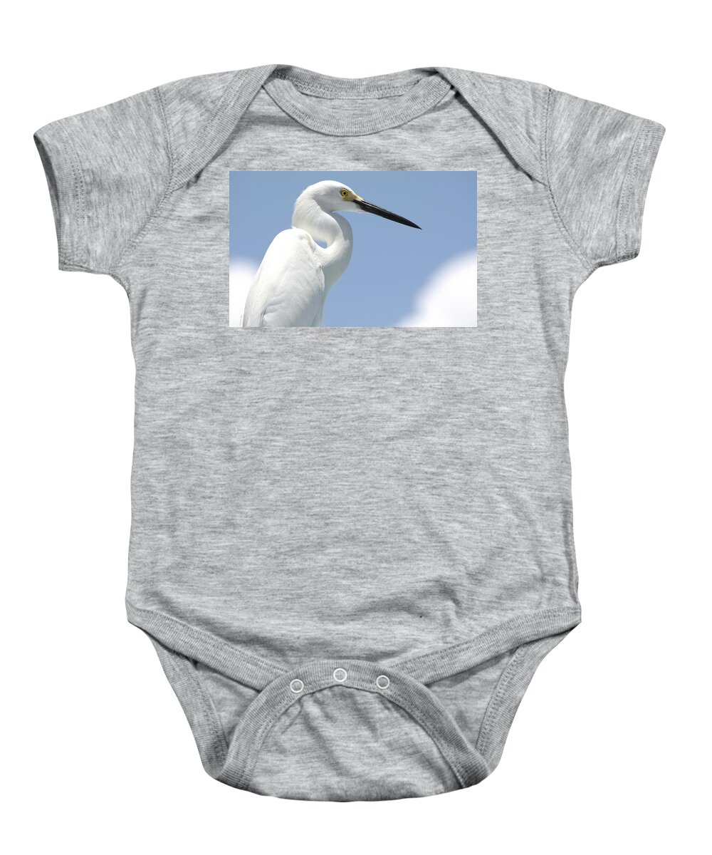Herron Baby Onesie featuring the photograph Feathers by Andrea Platt