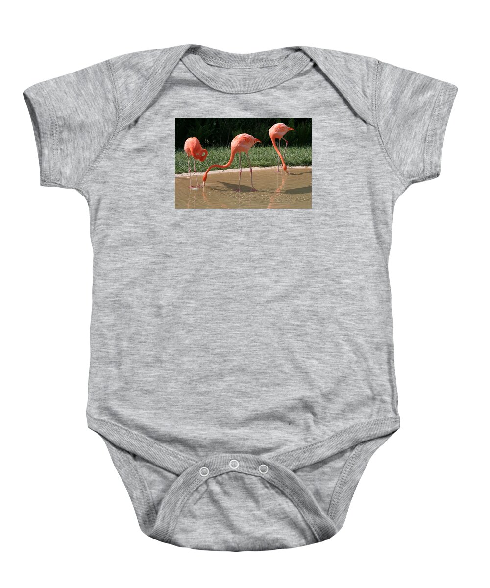 Birds Baby Onesie featuring the photograph 3 Flamingos drinking water by Valerie Collins