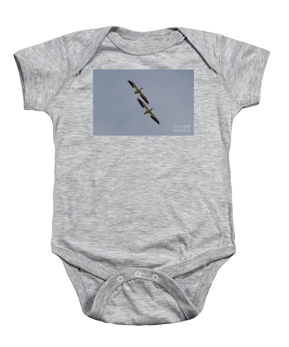 Pelicans Baby Onesie featuring the photograph Flight of the Pelicans by Jacklyn Duryea Fraizer