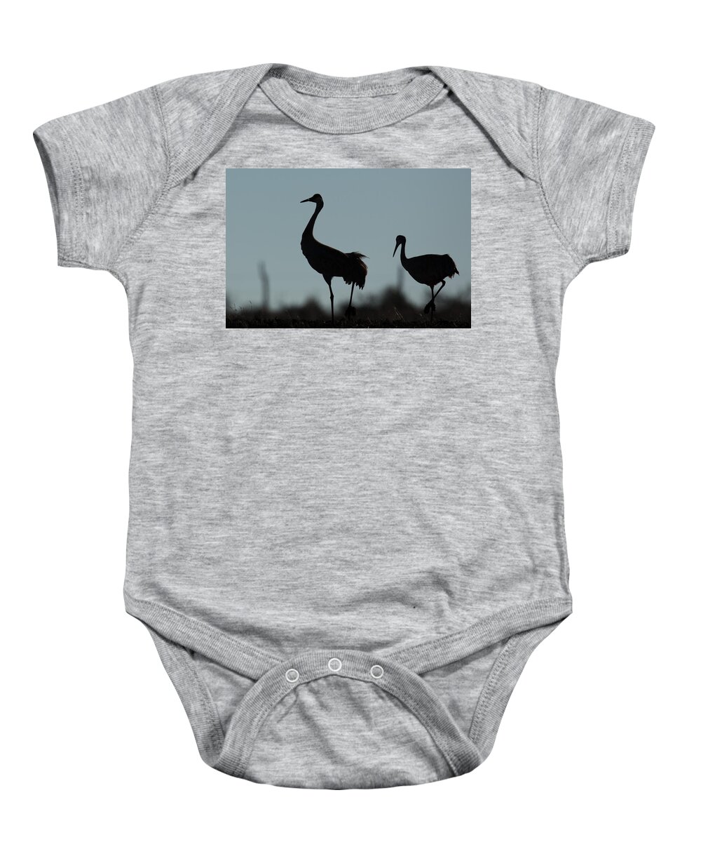 Cranes Baby Onesie featuring the photograph Follow by Kevin Dietrich