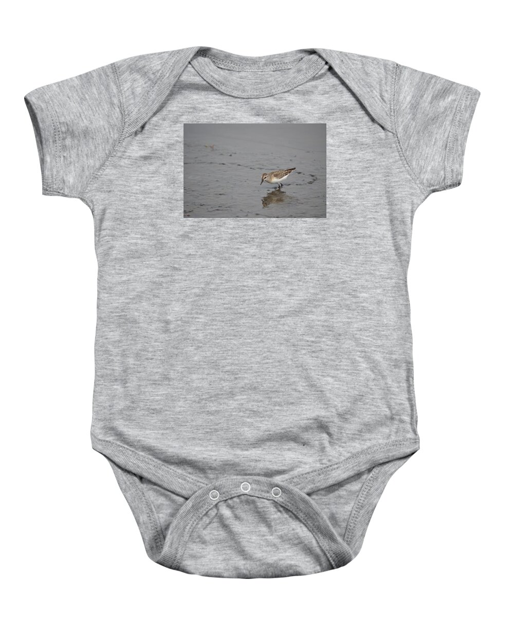 Birds Baby Onesie featuring the photograph Footsteps by James Petersen