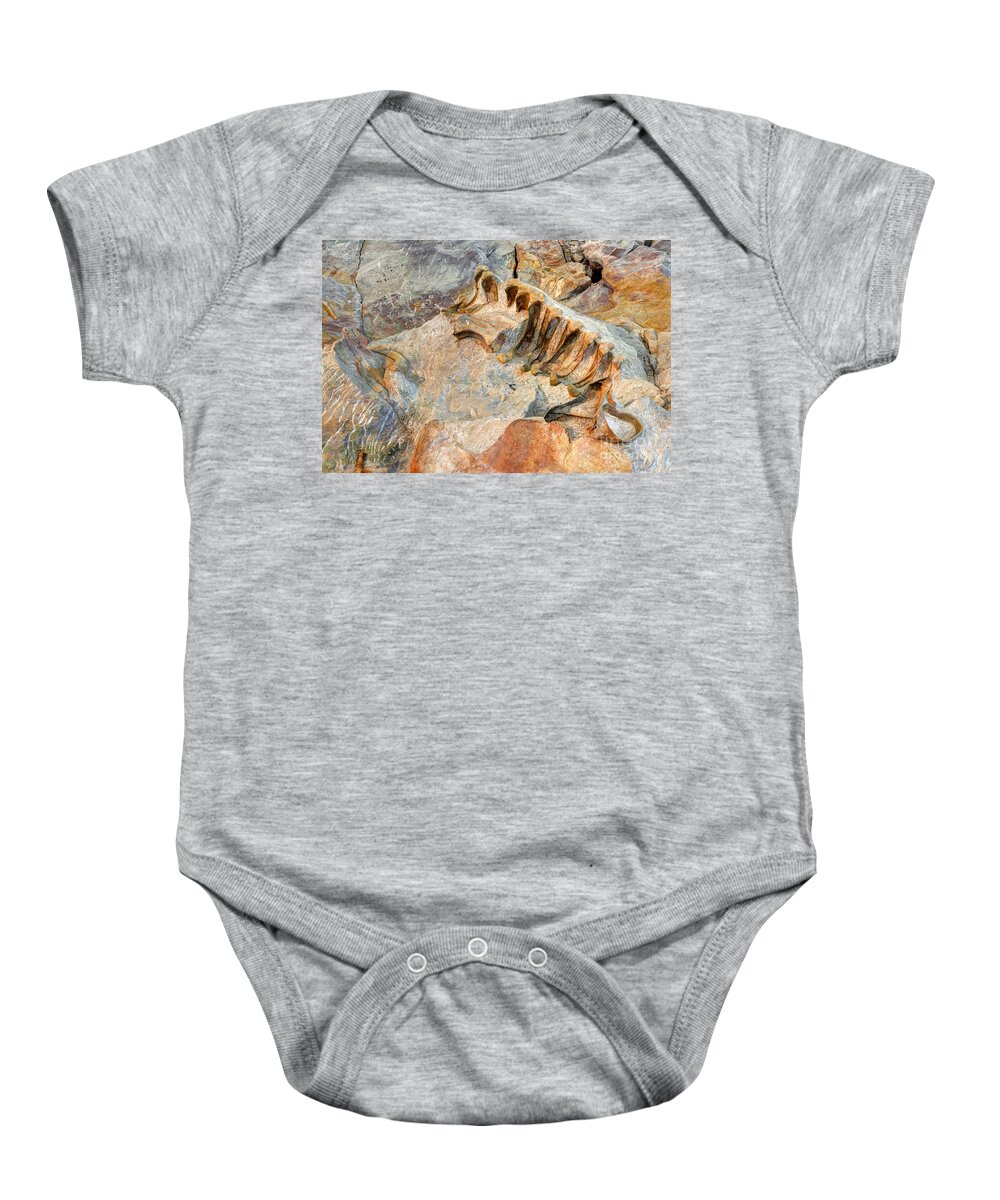 Fossil Baby Onesie featuring the photograph Fossilized Dinosaur Ribs - Dinosaur National National Monument by Gary Whitton