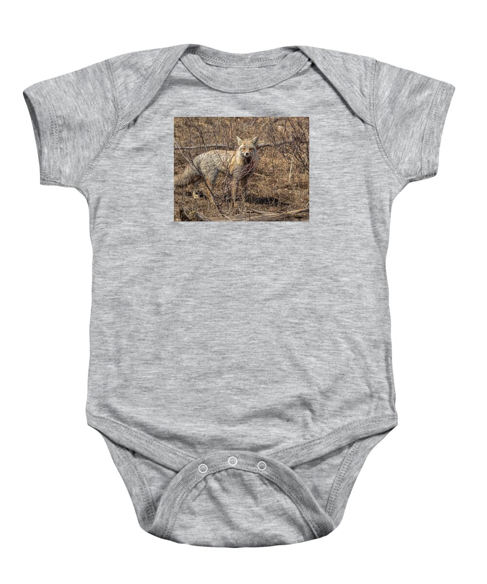 Fox Baby Onesie featuring the photograph Foxy In Disguise by Yeates Photography