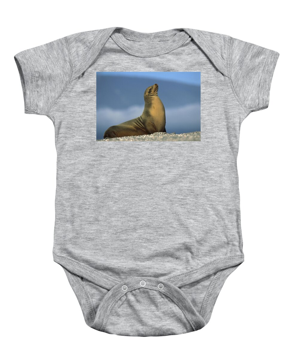 Feb0514 Baby Onesie featuring the photograph Galapagos Sea Lion Sunning Galapagos by Tui De Roy