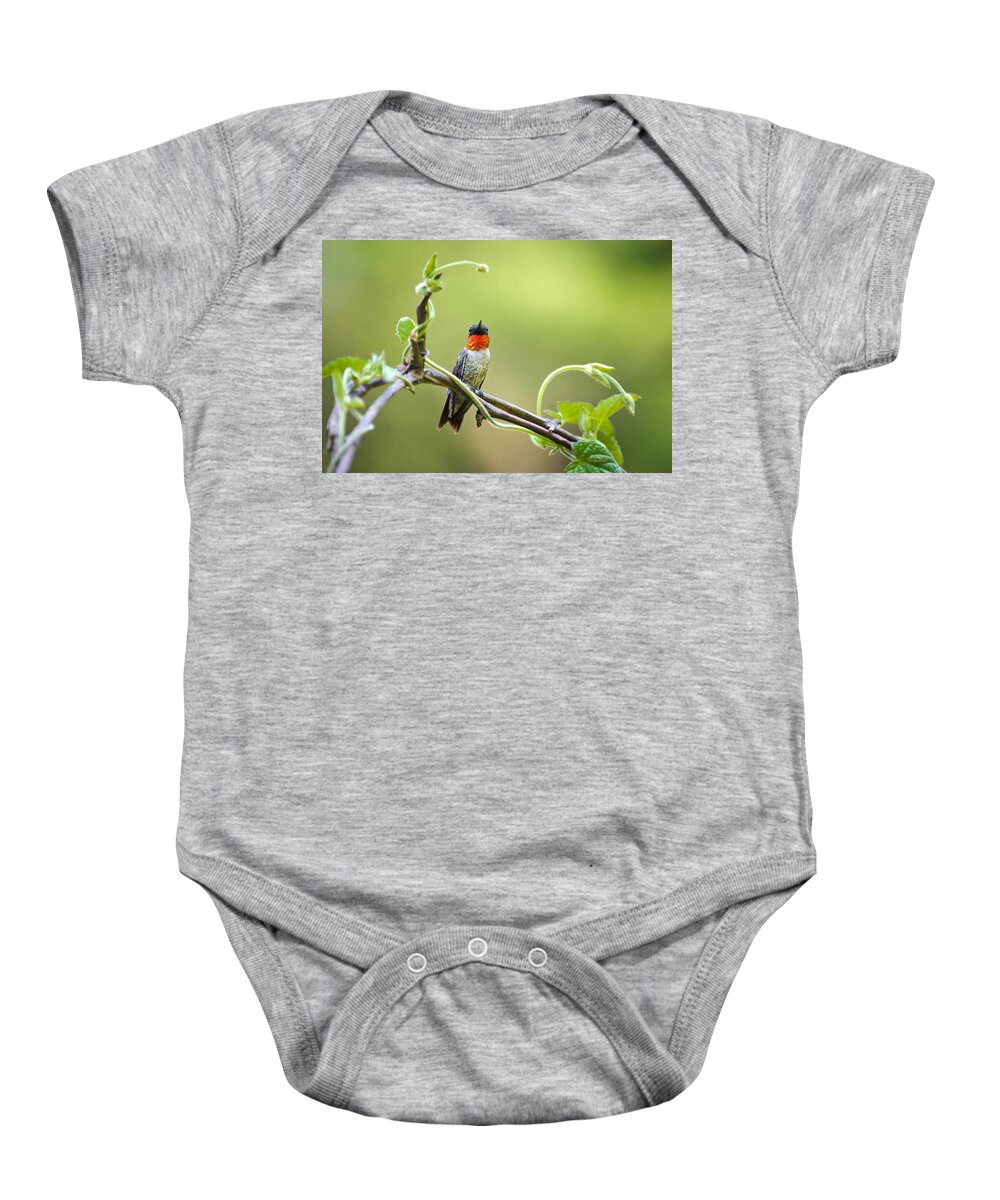 Hummingbird Baby Onesie featuring the photograph Hummingbird Garden Sentinel by Christina Rollo