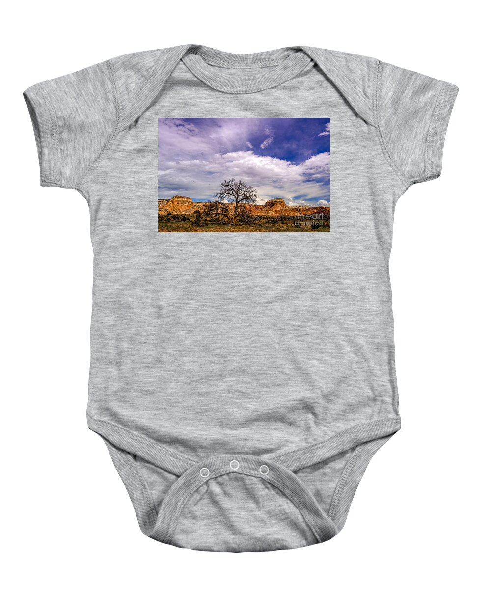 Ghost Ranch Baby Onesie featuring the photograph Georgia O'Keefe's Tree Caught Between Kitchen and Matrimonial Mesa - Ghost Ranch Abiquiu New Mexico by Silvio Ligutti