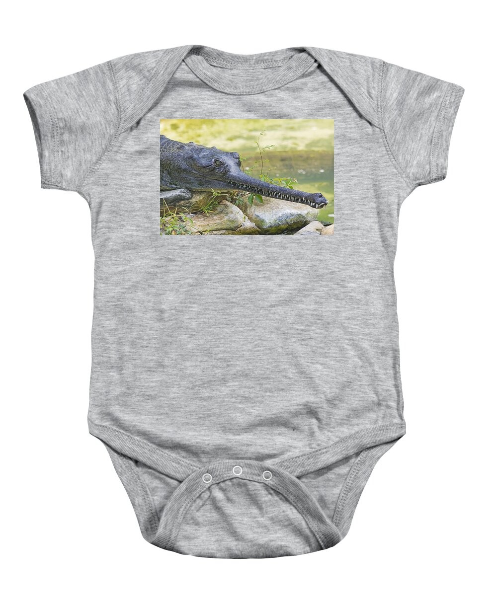 Wildlife Baby Onesie featuring the photograph Gharial by Kenneth Albin
