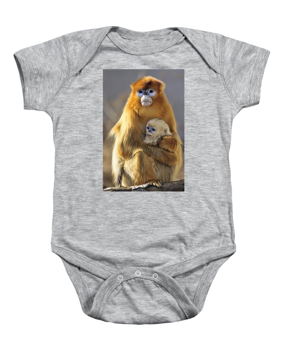 Feb0514 Baby Onesie featuring the photograph Golden Snub-nosed Monkey And Baby China by Konrad Wothe