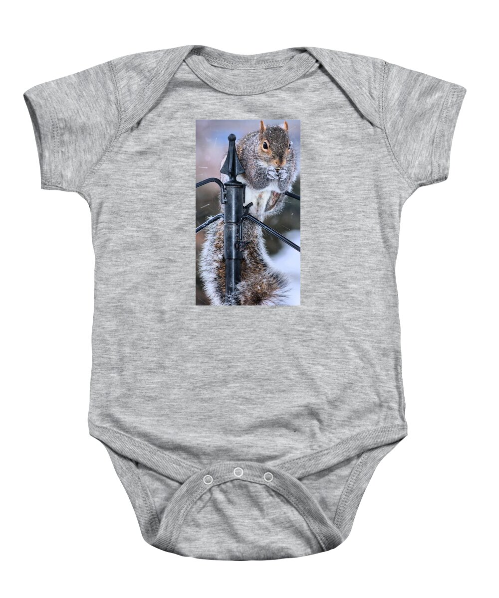 Squirrel Baby Onesie featuring the photograph Got to love Them by Carol Montoya