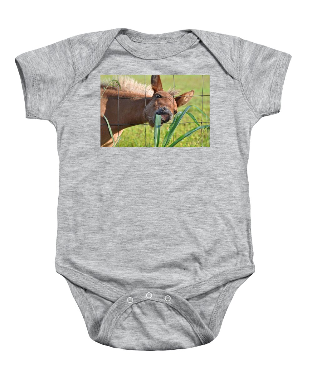 Pet Baby Onesie featuring the photograph Grass Is Greener by Charlotte Schafer