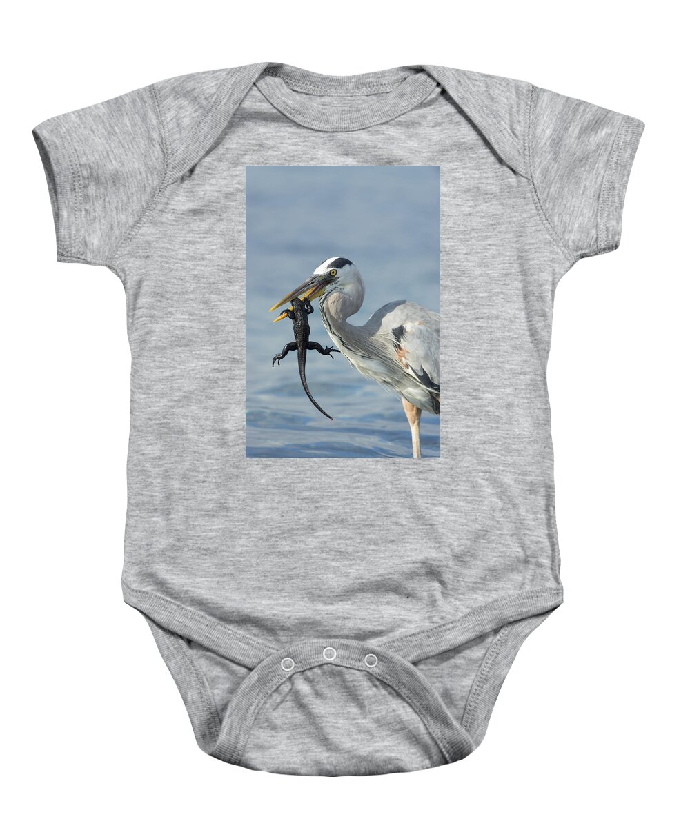 534100 Baby Onesie featuring the photograph Great Blue Heron Hunting Baby Marine by Tui De Roy