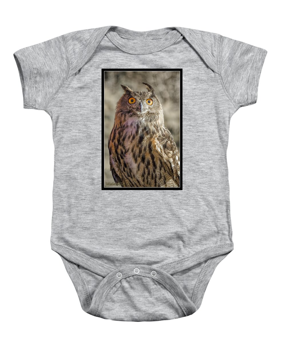 Great Horned Owl Baby Onesie featuring the photograph Great Horned Owl by LeeAnn McLaneGoetz McLaneGoetzStudioLLCcom