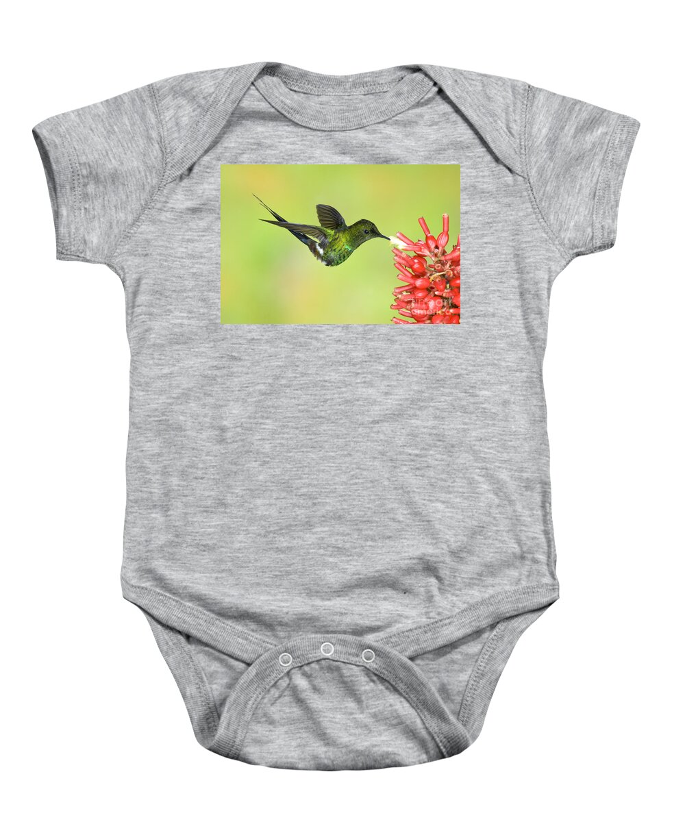 Animal Baby Onesie featuring the photograph Green Thorntail Hummingbird by Anthony Mercieca
