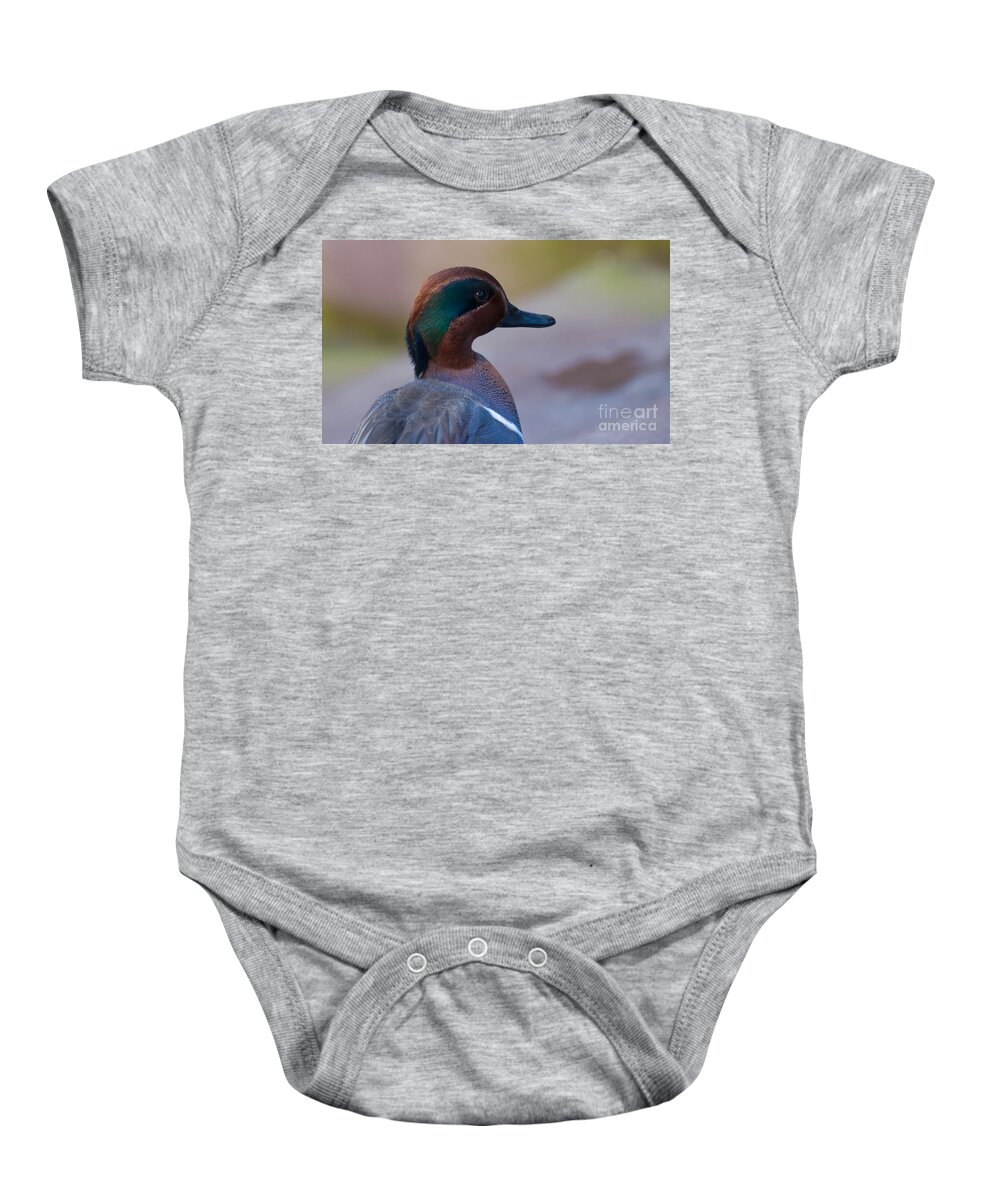 Duck Baby Onesie featuring the photograph Green Winged Teal by Bianca Nadeau