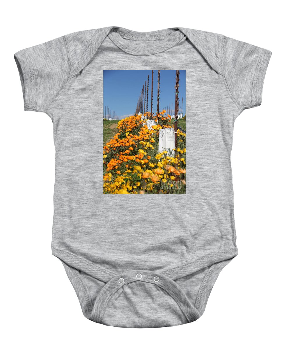 Wine Baby Onesie featuring the photograph Growing Vino by Diane Lesser