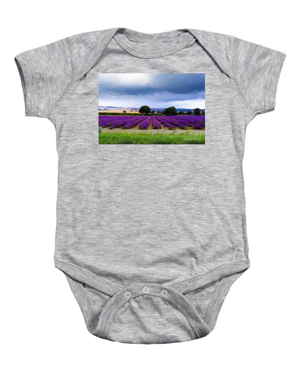 Lavender Field Baby Onesie featuring the photograph Hampshire Lavender Field by Terri Waters