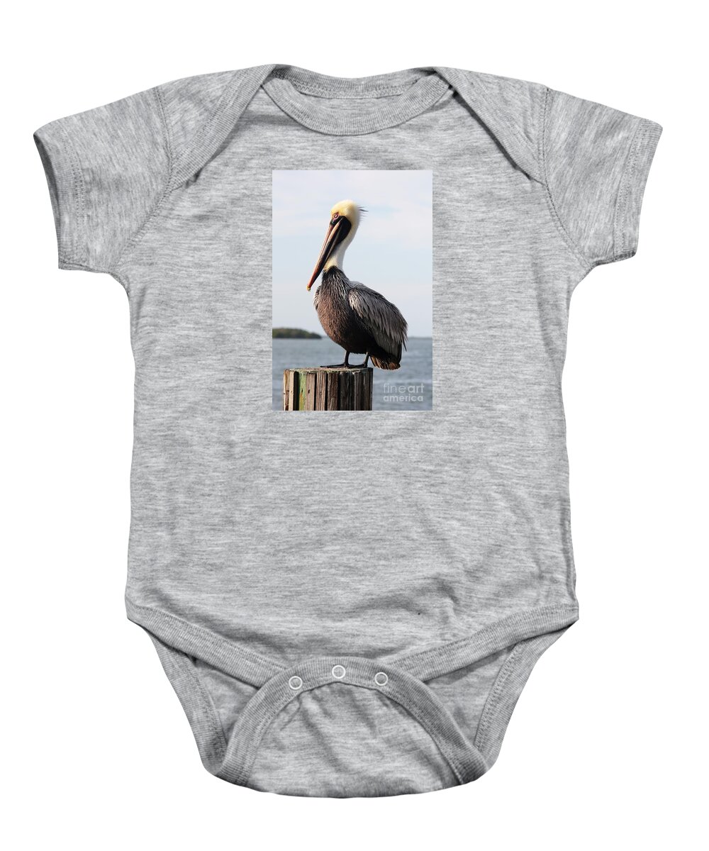 Pelican Baby Onesie featuring the photograph Handsome Brown Pelican by Carol Groenen