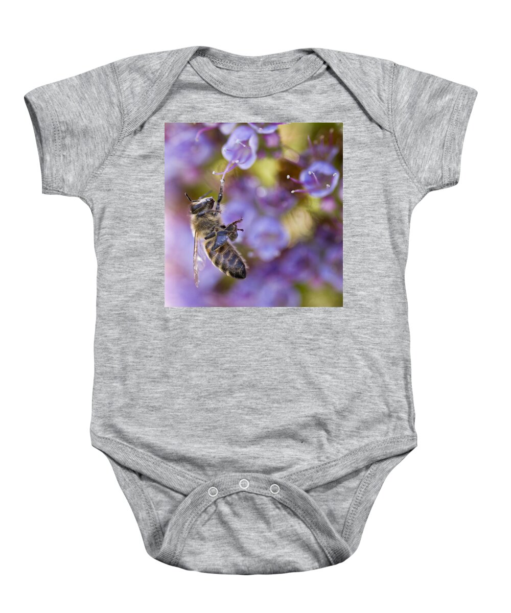 Bee Baby Onesie featuring the photograph Hang On by Priya Ghose