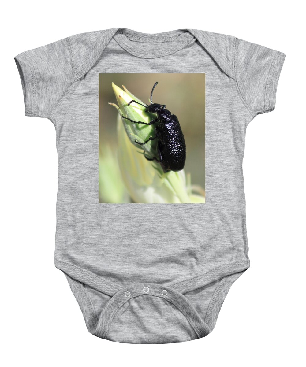 Bug Baby Onesie featuring the photograph Hey Bud #1 by Shane Bechler