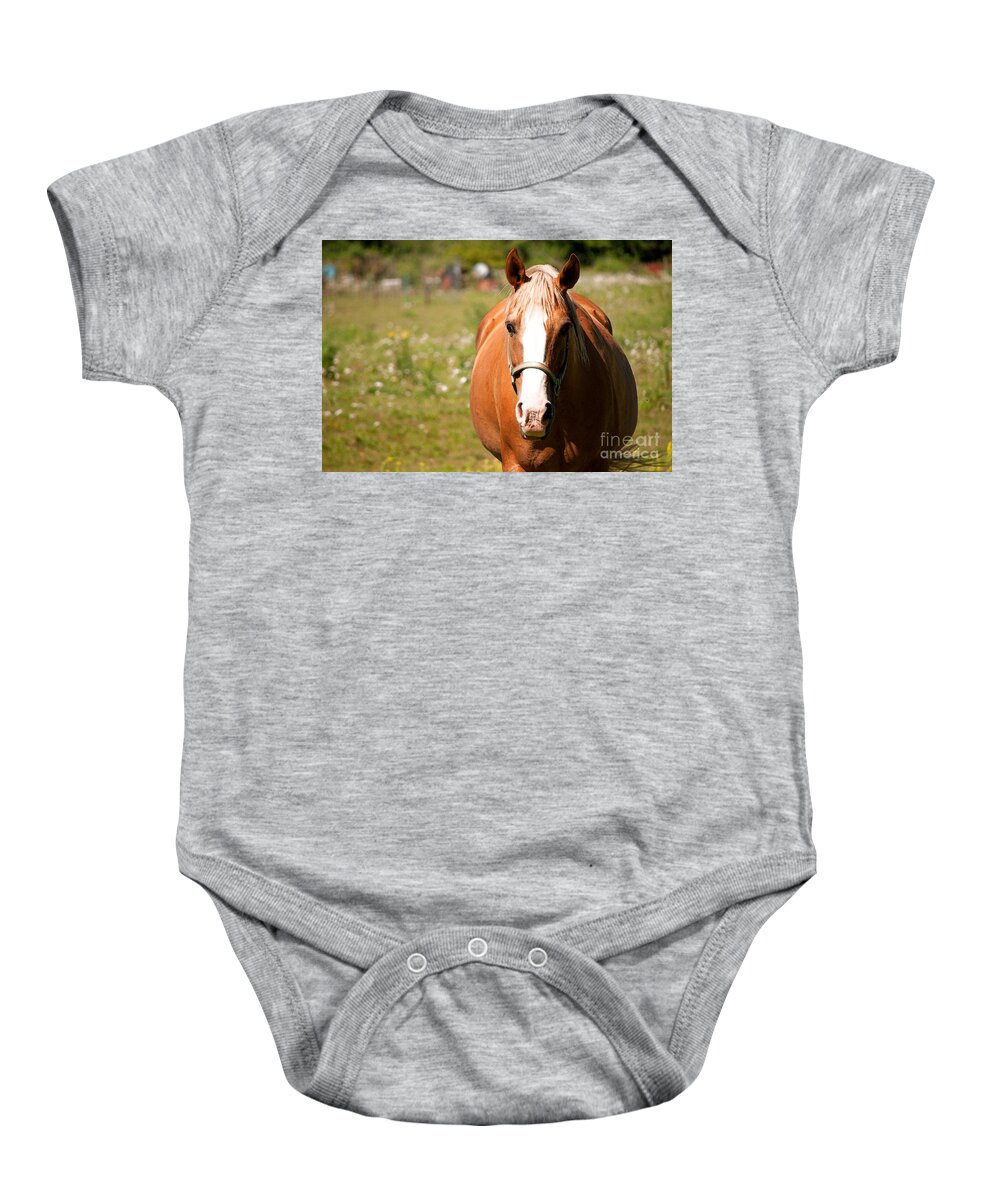 Horse Baby Onesie featuring the photograph Horse Howdy by Gwyn Newcombe