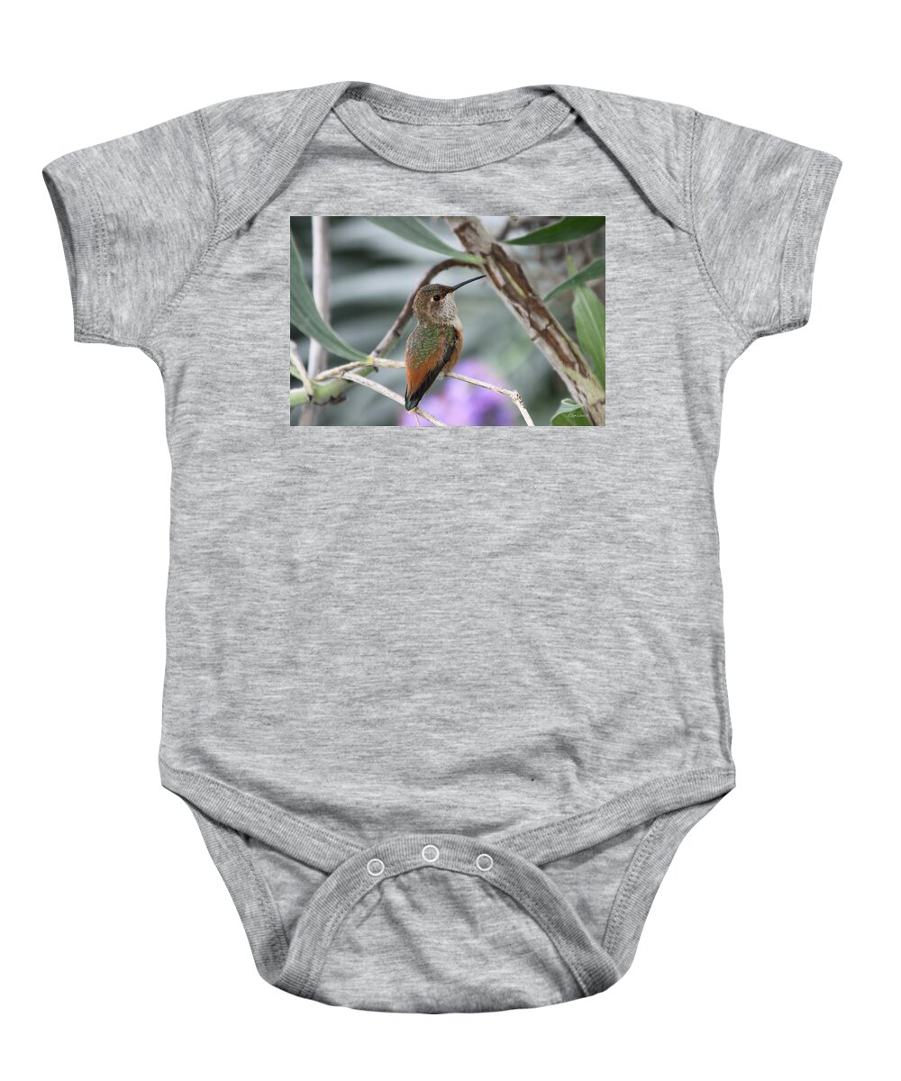 Hummingbird Baby Onesie featuring the photograph Hummingbird on a Branch by Diana Haronis