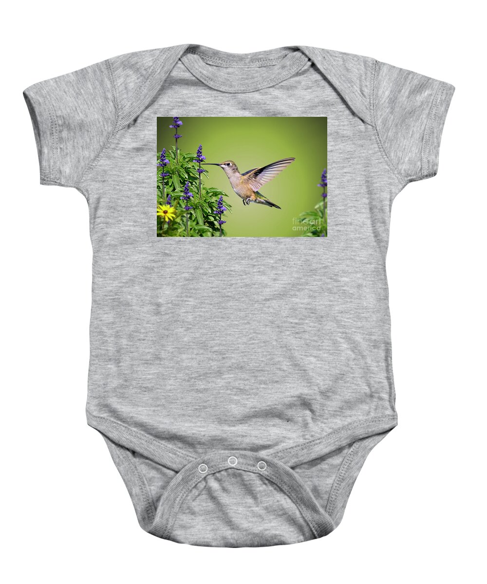 Hummingbird Baby Onesie featuring the photograph Hummingbird On Purple Flowers by Kathy Baccari