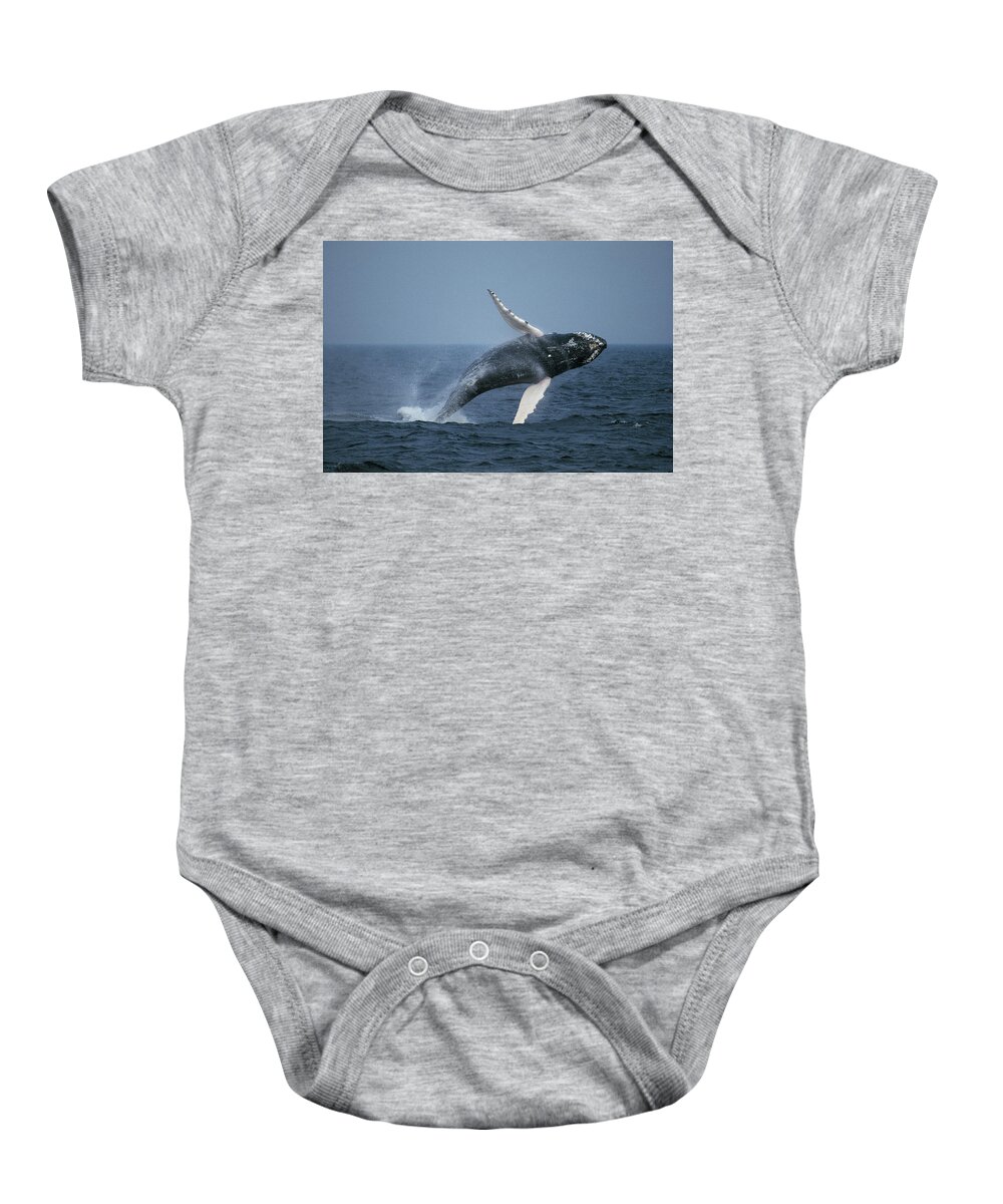 Feb0514 Baby Onesie featuring the photograph Humpback Whale Breaching Stellwagen Bank by Hiroya Minakuchi