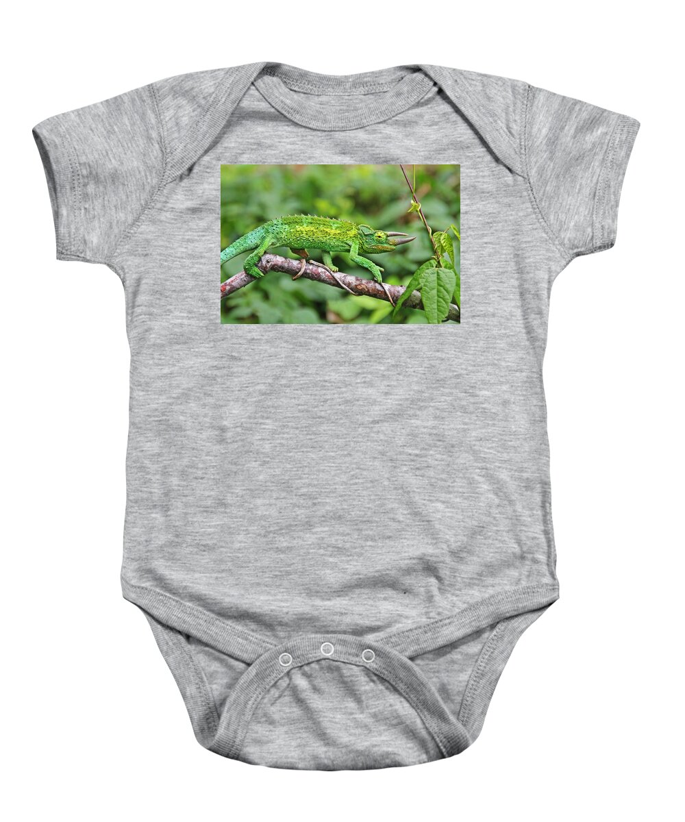 Green Animals Baby Onesie featuring the photograph I Am Not A Pickle by Peggy Collins
