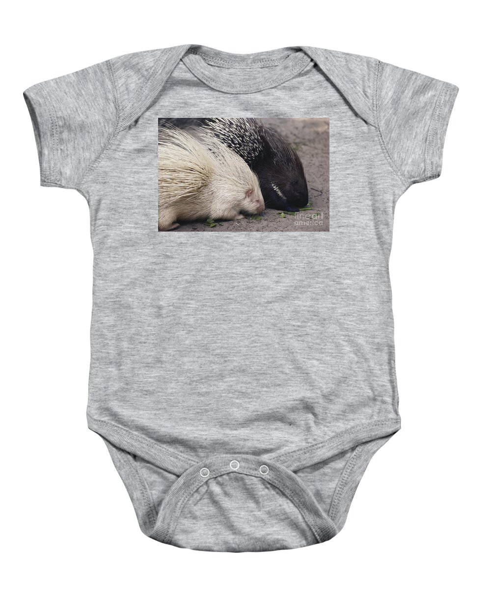 Nature Baby Onesie featuring the photograph Indian-crested Porcupines Normal by Tom McHugh