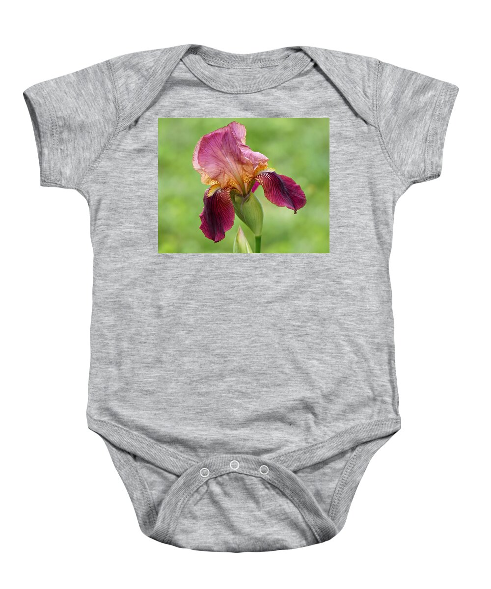 Iris Baby Onesie featuring the photograph Iris in the Breeze by Sandy Keeton