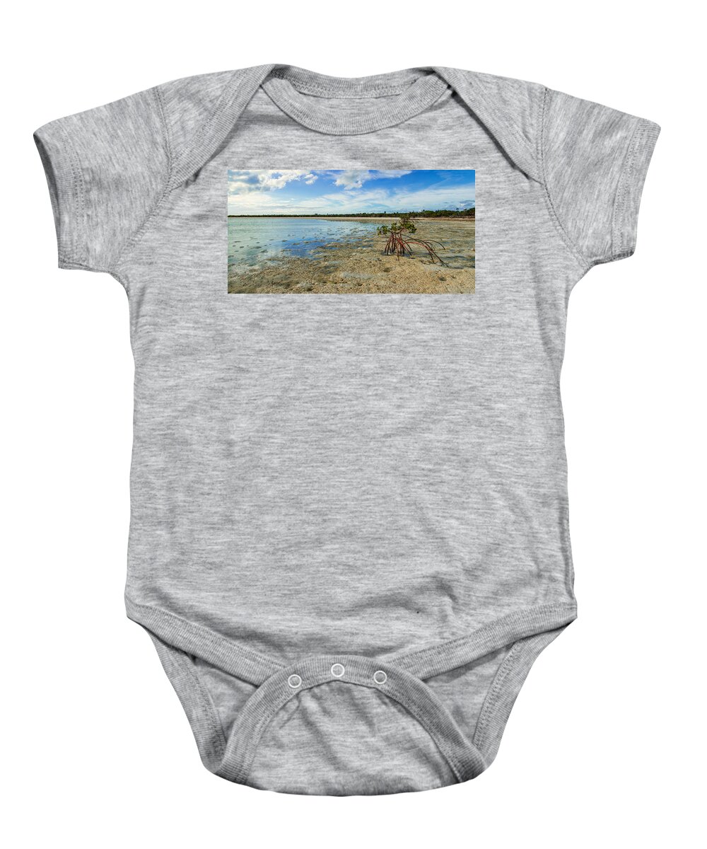 Caribbean Baby Onesie featuring the photograph Isolated by Chad Dutson