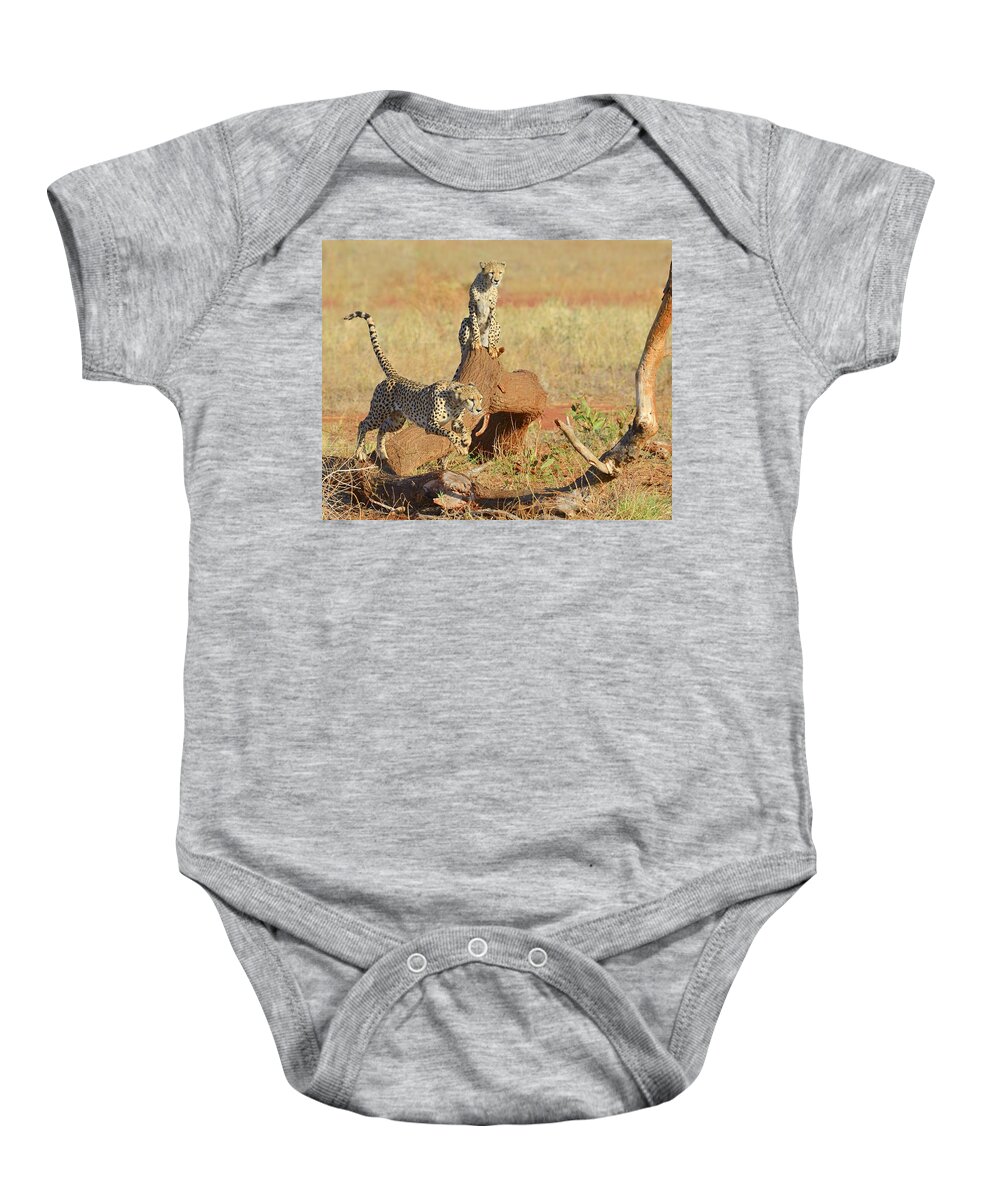 Cheetah Baby Onesie featuring the photograph Jump by Tony Beck