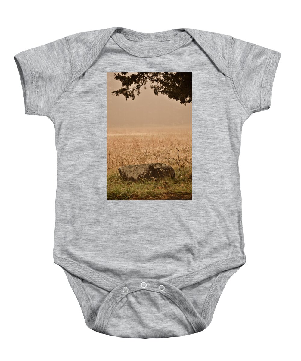 Green Lane Baby Onesie featuring the photograph Just A Rock by Trish Tritz