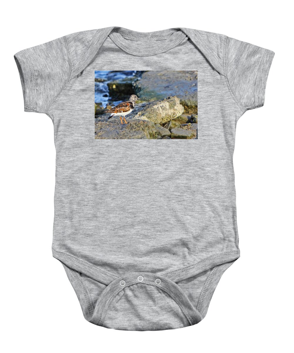 Island Baby Onesie featuring the photograph Just Came Down for the Winter by Gary Holmes